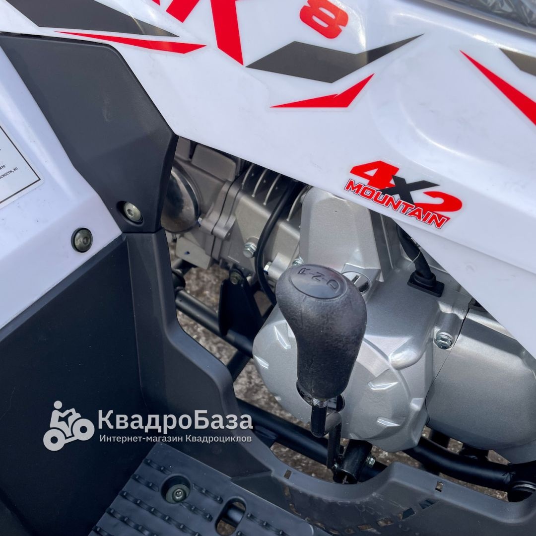 Квадроцикл бензиновый Avantis HS8 Shark 150 LUX