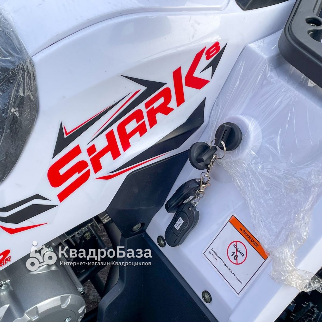 Квадроцикл бензиновый Avantis HS8 Shark 150 LUX