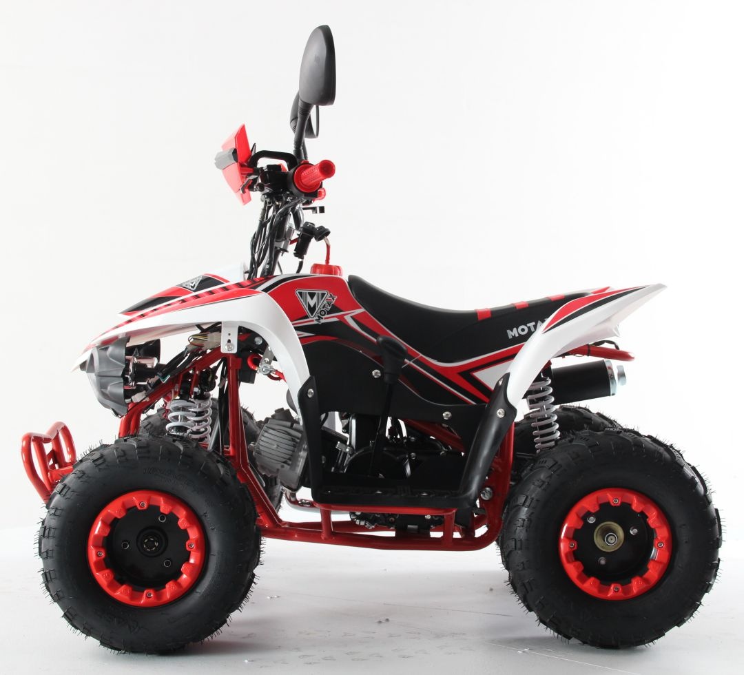 Квадроцикл бензиновый MOTAX MIKRO 110 NEW