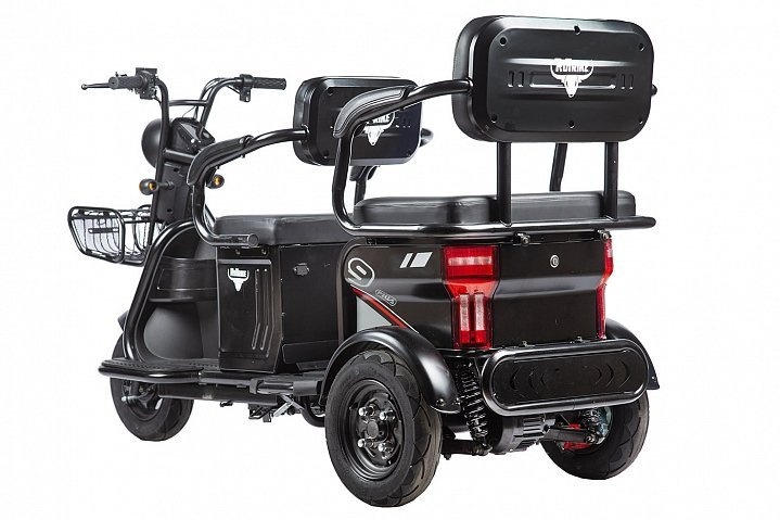 Трицикл Rutrike Трансформер