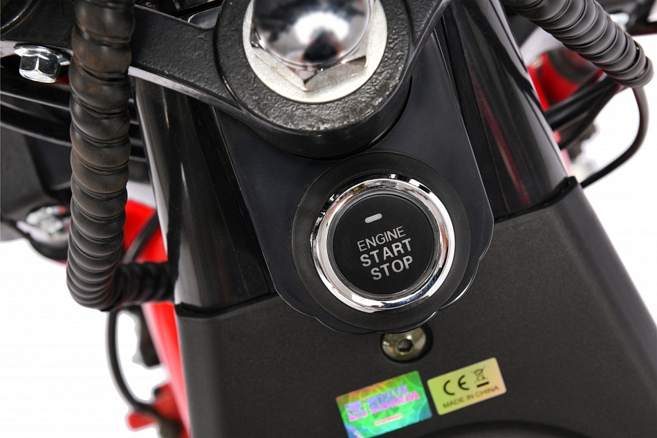 Трицикл WHITE SIBERIA IKRA 5000W