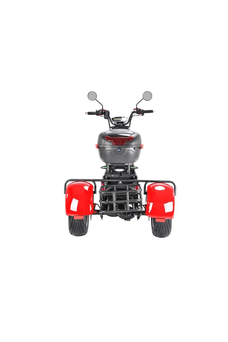 Трицикл WHITE SIBERIA PRO TRIKE+ 3000W