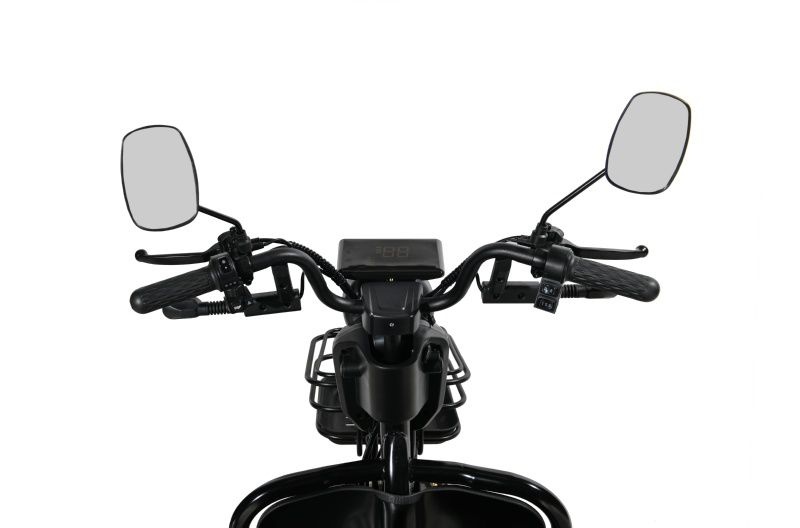 Трицикл WHITE SIBERIA SIBTRIKE R 2000W