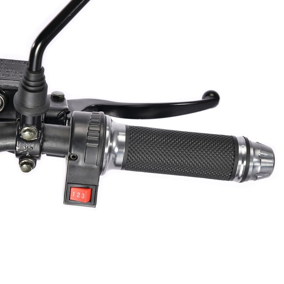 Трицикл WHITE SIBERIA TRIKE MINI 2000W