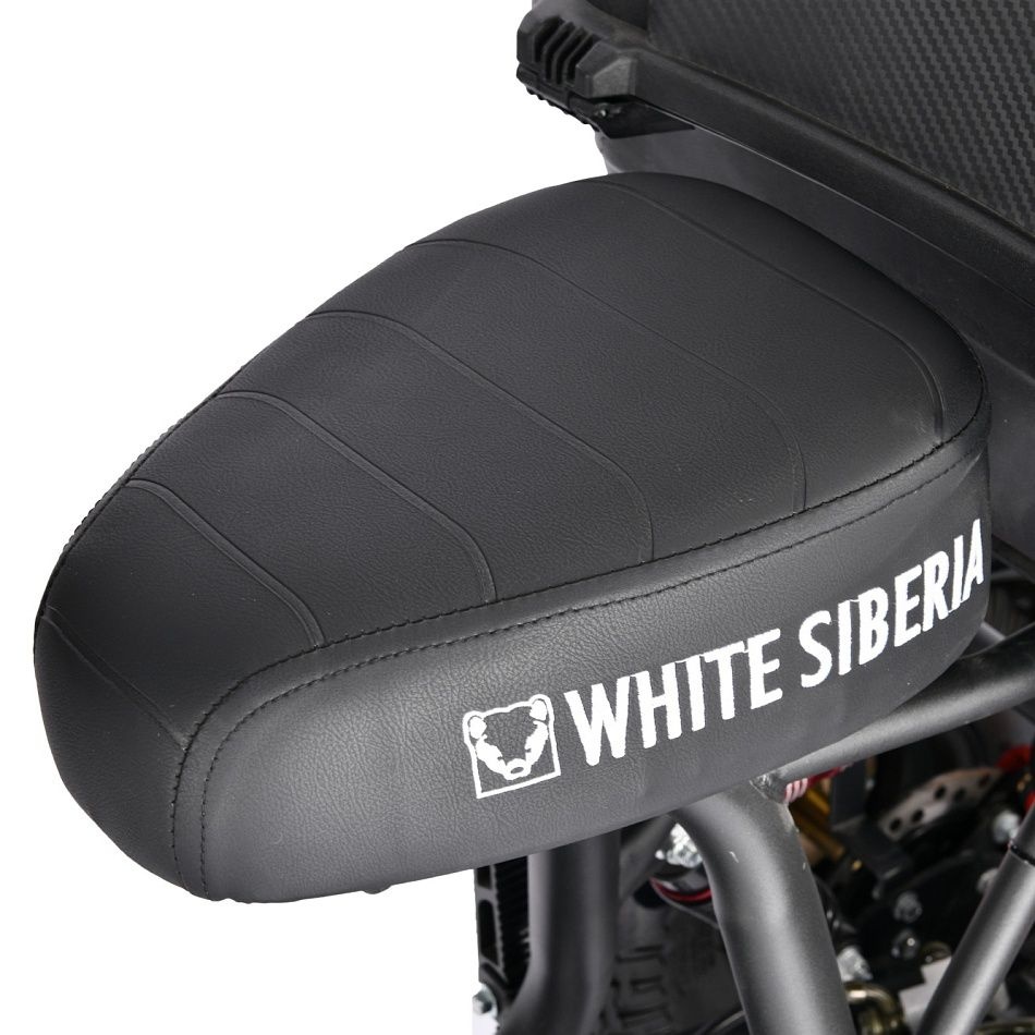 Трицикл WHITE SIBERIA TRIKE MINI 2000W