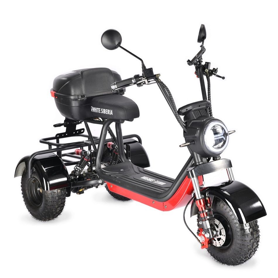 Трицикл WHITE SIBERIA TRIKE MINI 2000W - купить с доставкой и сборкой в ...
