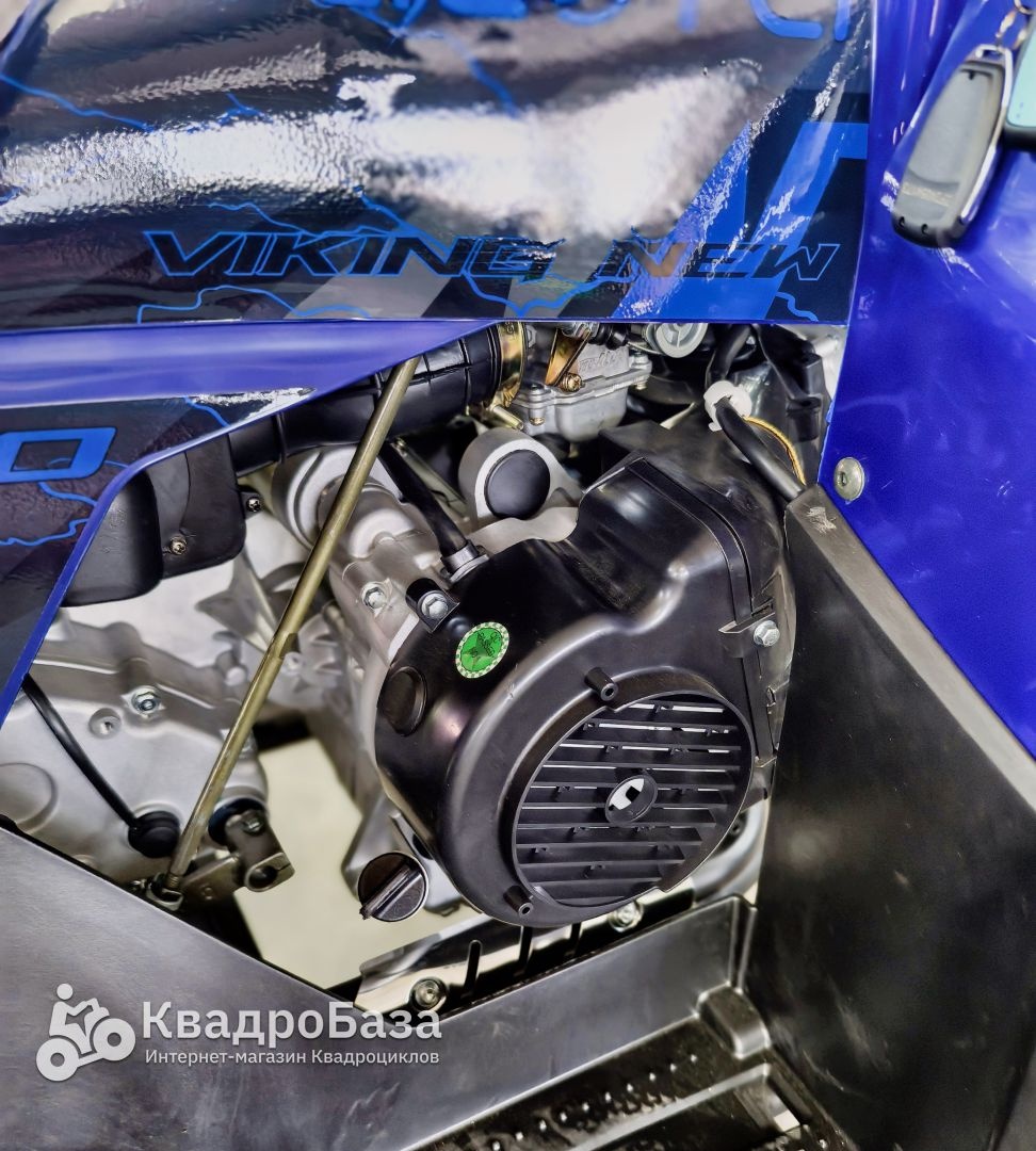 Квадроцикл YACOTA VIKING NEW 200 PRO - купить с доставкой и сборкой в ...
