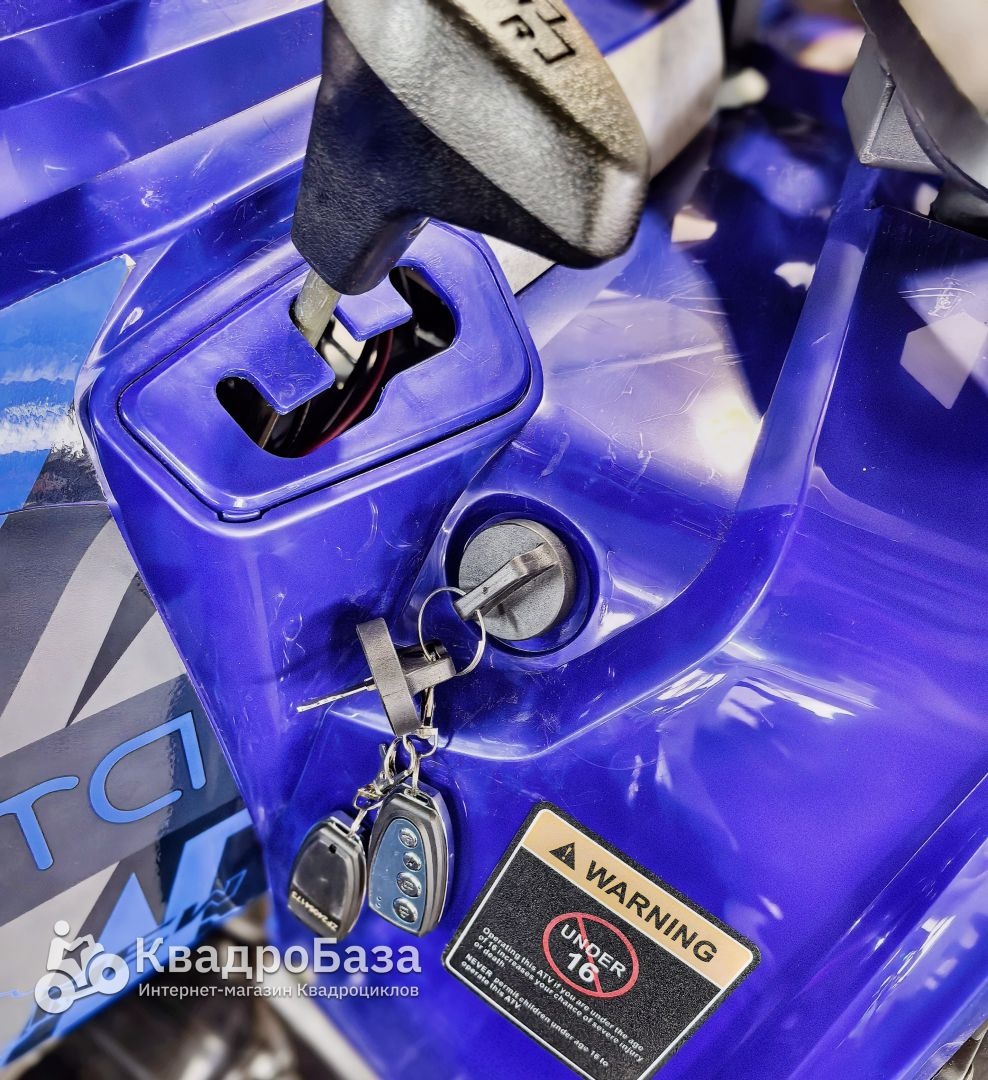 Квадроцикл YACOTA VIKING NEW 200 PRO